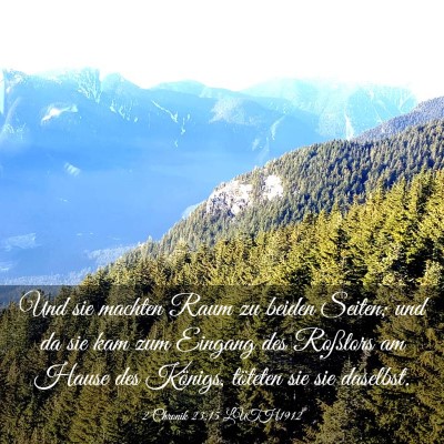 Picture 03 - 2 Chronik 23:15 LUTH1912 - Und sie machten Raum zu beiden Seiten; und da sie - Bible Verse Picture