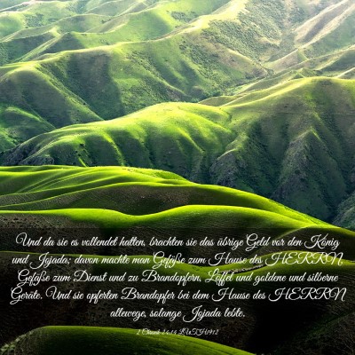 Picture 03 - 2 Chronik 24:14 LUTH1912 - Und da sie es vollendet hatten, brachten sie das - Bible Verse Picture