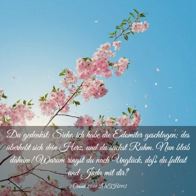 Picture 03 - 2 Chronik 25:19 LUTH1912 - Du gedenkst: Siehe, ich habe die Edomiter - Bible Verse Picture