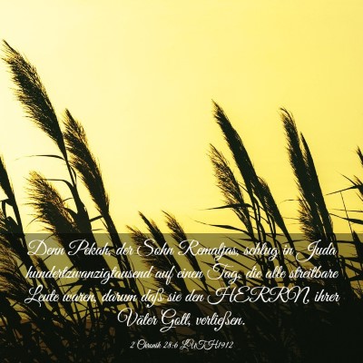 Picture 03 - 2 Chronik 28:6 LUTH1912 - Denn Pekah, der Sohn Remaljas, schlug in Juda - Bible Verse Picture