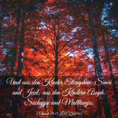 Picture 03 - 2 Chronik 29:13 LUTH1912 - Und aus den Kinder Elizaphan: Simri und Jeiel; - Bible Verse Picture