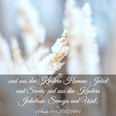 Picture 03 - 2 Chronik 29:14 LUTH1912 - und aus den Kindern Heman: Jehiel und Simei; und - Bible Verse Picture