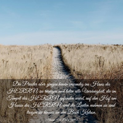 Picture 03 - 2 Chronik 29:16 LUTH1912 - Die Priester aber gingen hinein inwendig ins Haus - Bible Verse Picture