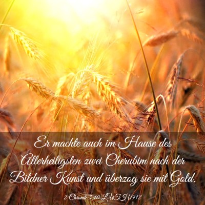 Picture 03 - 2 Chronik 3:10 LUTH1912 - Er machte auch im Hause des Allerheiligsten zwei - Bible Verse Picture