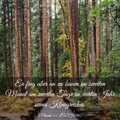 Picture 03 - 2 Chronik 3:2 LUTH1912 - Er fing aber an zu bauen im zweiten Monat am - Bible Verse Picture