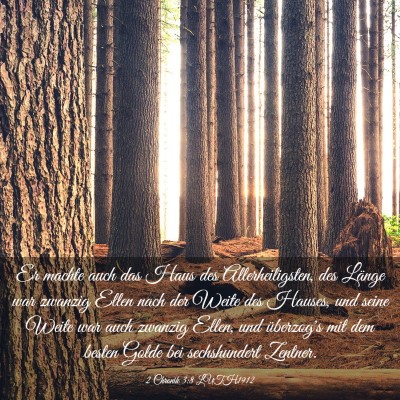 Picture 03 - 2 Chronik 3:8 LUTH1912 - Er machte auch das Haus des Allerheiligsten, des - Bible Verse Picture