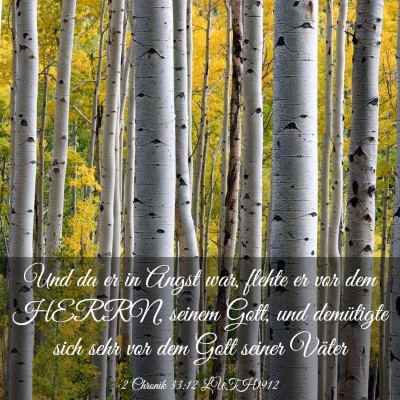 Picture 03 - 2 Chronik 33:12 LUTH1912 - Und da er in Angst war, flehte er vor dem HERRN, - Bible Verse Picture