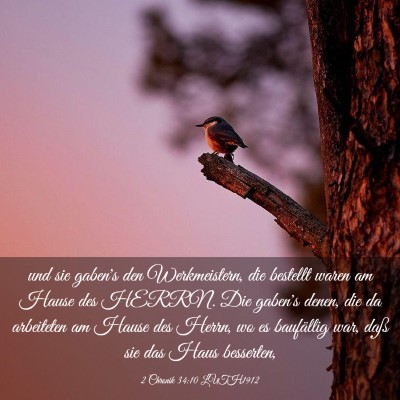 Picture 03 - 2 Chronik 34:10 LUTH1912 - und sie gaben's den Werkmeistern, die bestellt - Bible Verse Picture