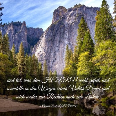 Picture 03 - 2 Chronik 34:2 LUTH1912 - und tat, was dem HERRN wohl gefiel, und wandelte - Bible Verse Picture