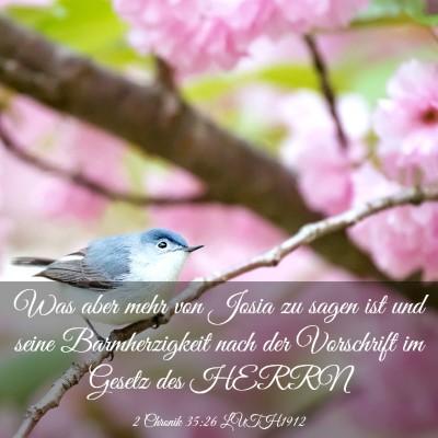 Picture 03 - 2 Chronik 35:26 LUTH1912 - Was aber mehr von Josia zu sagen ist und seine - Bible Verse Picture