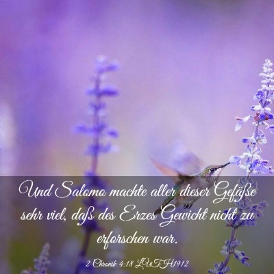 Picture 03 - 2 Chronik 4:18 LUTH1912 - Und Salomo machte aller dieser Gefäße sehr - Bible Verse Picture