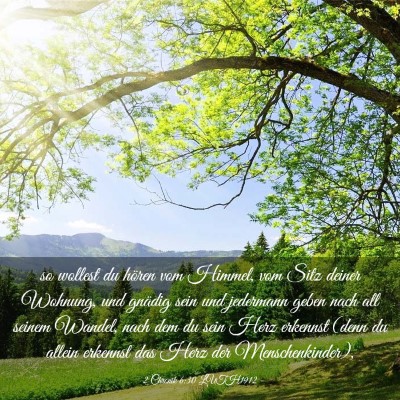 Picture 03 - 2 Chronik 6:30 LUTH1912 - so wollest du hören vom Himmel, vom Sitz deiner - Bible Verse Picture