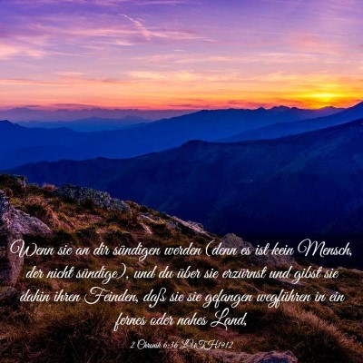 Picture 03 - 2 Chronik 6:36 LUTH1912 - Wenn sie an dir sündigen werden (denn es ist - Bible Verse Picture