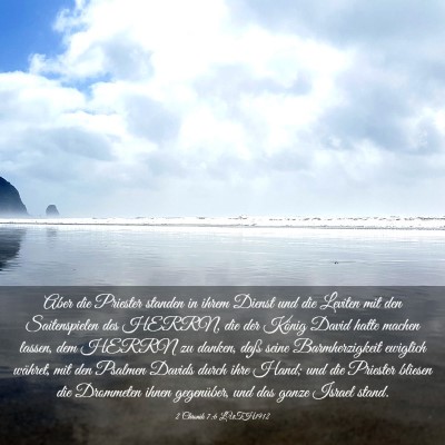 Picture 03 - 2 Chronik 7:6 LUTH1912 - Aber die Priester standen in ihrem Dienst und die - Bible Verse Picture