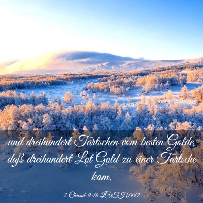 Picture 03 - 2 Chronik 9:16 LUTH1912 - und dreihundert Tartschen vom besten Golde, daß - Bible Verse Picture