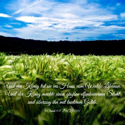 Picture 03 - 2 Chronik 9:17 LUTH1912 - Und der König tat sie ins Haus vom Walde - Bible Verse Picture