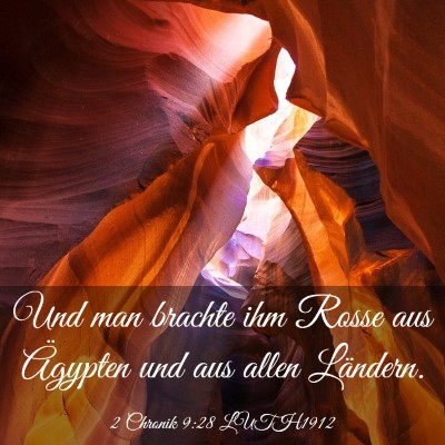 Picture 03 - 2 Chronik 9:28 LUTH1912 - Und man brachte ihm Rosse aus Ägypten und aus - Bible Verse Picture