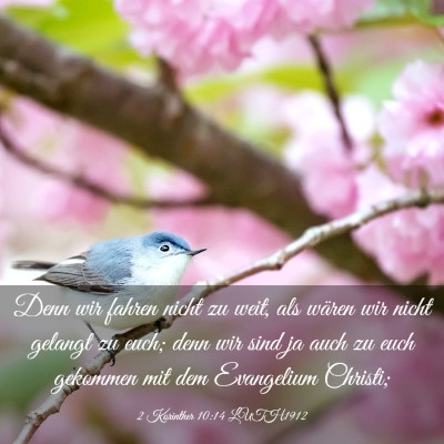 Picture 03 - 2 Korinther 10:14 LUTH1912 - Denn wir fahren nicht zu weit, als wären wir - Bible Verse Picture