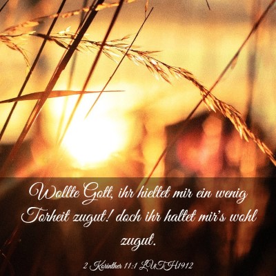 Picture 03 - 2 Korinther 11:1 LUTH1912 - Wollte Gott, ihr hieltet mir ein wenig Torheit - Bible Verse Picture