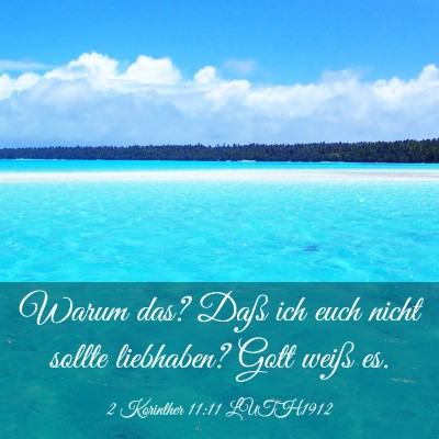 Picture 03 - 2 Korinther 11:11 LUTH1912 - Warum das? Daß ich euch nicht sollte liebhaben? - Bible Verse Picture