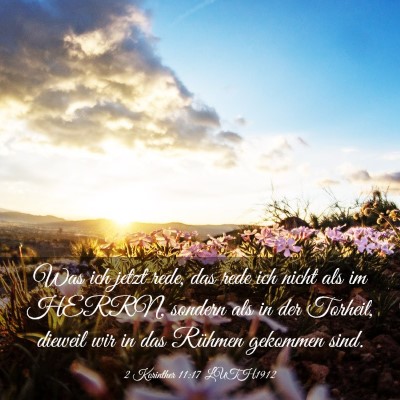 Picture 03 - 2 Korinther 11:17 LUTH1912 - Was ich jetzt rede, das rede ich nicht als im - Bible Verse Picture