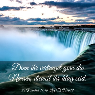 Picture 03 - 2 Korinther 11:19 LUTH1912 - Denn ihr vertraget gern die Narren, dieweil ihr - Bible Verse Picture