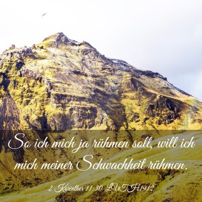 Picture 03 - 2 Korinther 11:30 LUTH1912 - So ich mich ja rühmen soll, will ich mich meiner - Bible Verse Picture