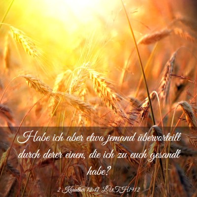 Picture 03 - 2 Korinther 12:17 LUTH1912 - Habe ich aber etwa jemand übervorteilt durch - Bible Verse Picture