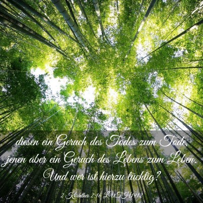 Picture 03 - 2 Korinther 2:16 LUTH1912 - diesen ein Geruch des Todes zum Tode, jenen aber - Bible Verse Picture
