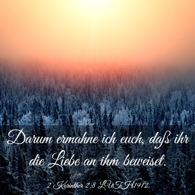 Picture 03 - 2 Korinther 2:8 LUTH1912 - Darum ermahne ich euch, daß ihr die Liebe an ihm - Bible Verse Picture