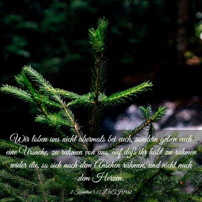 Picture 03 - 2 Korinther 5:12 LUTH1912 - Wir loben uns nicht abermals bei euch, sondern - Bible Verse Picture