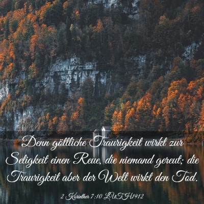 Picture 03 - 2 Korinther 7:10 LUTH1912 - Denn göttliche Traurigkeit wirkt zur Seligkeit - Bible Verse Picture