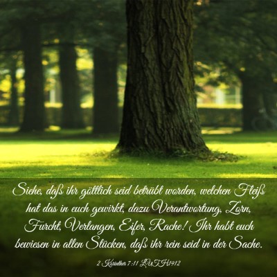 Picture 03 - 2 Korinther 7:11 LUTH1912 - Siehe, daß ihr göttlich seid betrübt worden, - Bible Verse Picture