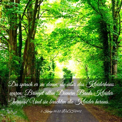 Picture 03 - 2 Könige 10:22 LUTH1912 - Da sprach er zu denen, die über das Kleiderhaus - Bible Verse Picture