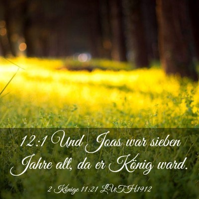 Picture 03 - 2 Könige 11:21 LUTH1912 - 12:1 Und Joas war sieben Jahre alt, da er König - Bible Verse Picture