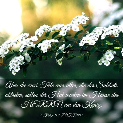Picture 03 - 2 Könige 11:7 LUTH1912 - Aber die zwei Teile euer aller, die des Sabbats - Bible Verse Picture