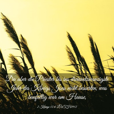 Picture 03 - 2 Könige 12:6 LUTH1912 - Da aber die Priester bis ins dreiundzwanzigste - Bible Verse Picture