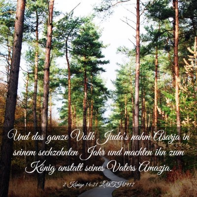 Picture 03 - 2 Könige 14:21 LUTH1912 - Und das ganze Volk Juda's nahm Asarja in seinem - Bible Verse Picture