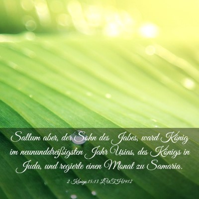 Picture 03 - 2 Könige 15:13 LUTH1912 - Sallum aber, der Sohn des Jabes, ward König im - Bible Verse Picture