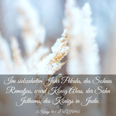 Picture 03 - 2 Könige 16:1 LUTH1912 - Im siebzehnten Jahr Pekahs, des Sohnes Remaljas, - Bible Verse Picture