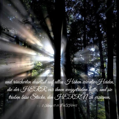 Picture 03 - 2 Könige 17:11 LUTH1912 - und räucherten daselbst auf allen Höhen wie die - Bible Verse Picture