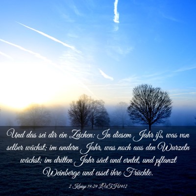 Picture 03 - 2 Könige 19:29 LUTH1912 - Und das sei dir ein Zeichen: In diesem Jahr iß, - Bible Verse Picture