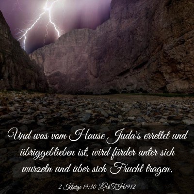 Picture 03 - 2 Könige 19:30 LUTH1912 - Und was vom Hause Juda's errettet und - Bible Verse Picture