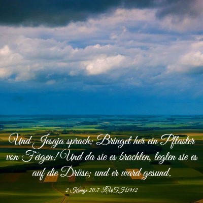 Picture 03 - 2 Könige 20:7 LUTH1912 - Und Jesaja sprach: Bringet her ein Pflaster von - Bible Verse Picture