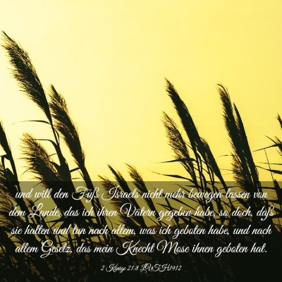 Picture 03 - 2 Könige 21:8 LUTH1912 - und will den Fuß Israels nicht mehr bewegen - Bible Verse Picture