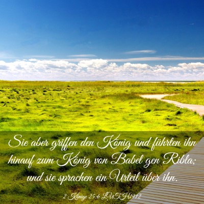 Picture 03 - 2 Könige 25:6 LUTH1912 - Sie aber griffen den König und führten ihn - Bible Verse Picture