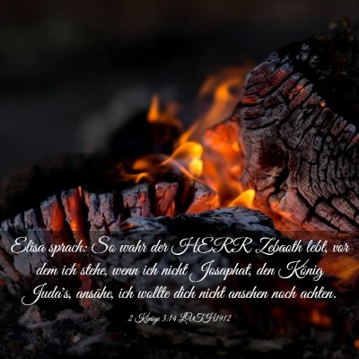 Picture 03 - 2 Könige 3:14 LUTH1912 - Elisa sprach: So wahr der HERR Zebaoth lebt, vor - Bible Verse Picture
