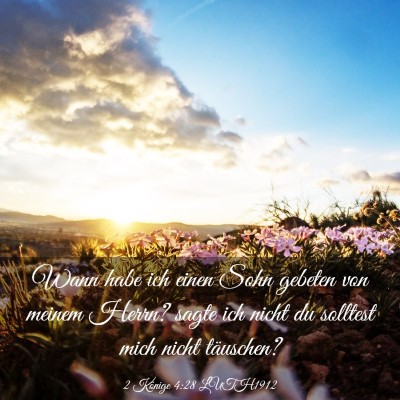 Picture 03 - 2 Könige 4:28 LUTH1912 - Wann habe ich einen Sohn gebeten von meinem - Bible Verse Picture