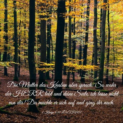 Picture 03 - 2 Könige 4:30 LUTH1912 - Die Mutter des Knaben aber sprach: So wahr der - Bible Verse Picture