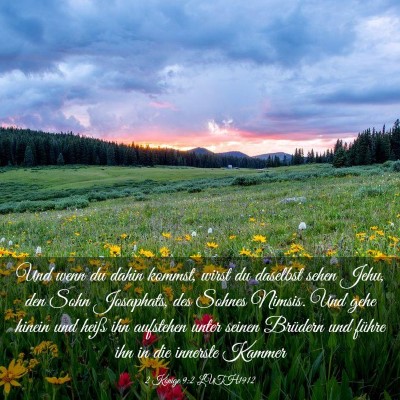 Picture 03 - 2 Könige 9:2 LUTH1912 - Und wenn du dahin kommst, wirst du daselbst sehen - Bible Verse Picture